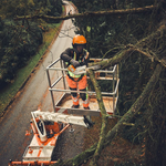 STIHL STIHL MSA 190 T accu kettingzaag actieset incl. accubox - 30 cm