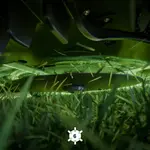 STIGA STIGA A 50v robotmaaier