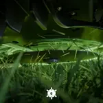 STIGA A 140v robotmaaier STIGA STIGA A 140v robotmaaier