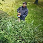 STIHL HSA 100 accu heggenschaar actieset incl. accubox STIHL STIHL HSA 100 accu heggenschaar actieset incl. accubox