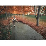 STIHL BRA 600 B Accu Bladblazer STIHL STIHL BRA 600 B Accu Bladblazer