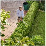 STIHL STIHL HSA 40 accu heggenschaar set