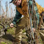 Alpen Alpen Wildhorn 40 LIGHT accu snoeischaar