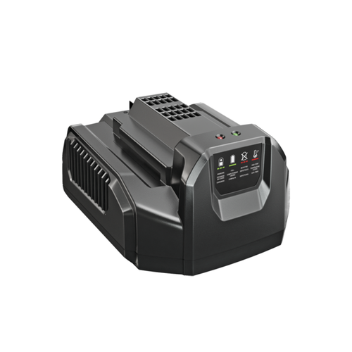 EGO EGO CH2100E Standaardlader 210 W