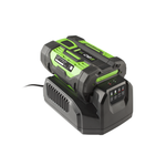 EGO EGO CH2100E Standaardlader 210 W