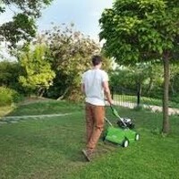 Is het de moeite waard om een verticuteermachine te kopen? Is het de moeite waard om een verticuteermachine te kopen?