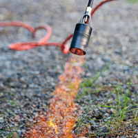 Wat is de beste onkruidbrander?