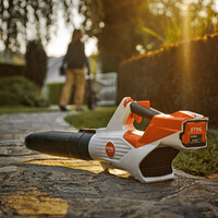 Welke bladblazer is als beste getest?