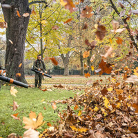 Hoeveel kracht moet een bladblazer hebben?
