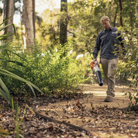 Welke bladblazer voor kleine tuin?