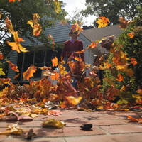 Wat is het nut van een bladblazer?