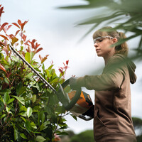 Hoe onderhoud je een heggenschaar?