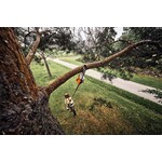 STIHL HTA 160 B accu hoogsnoeier STIHL STIHL HTA 160 B accu hoogsnoeier