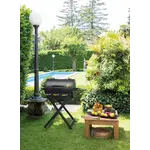 Boretti Boretti Addizio Gasbarbecue