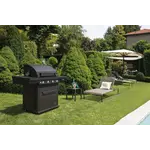 Boretti Boretti Maggiore Antraciet Gasbarbecue