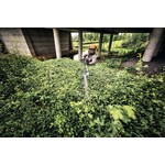 STIHL STIHL HLA 140 B accu hoogsnoeier actieset met 2x AP 30 accu en 1x AL 301 lader