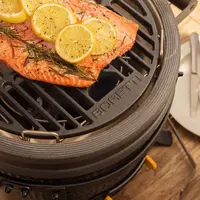 Wat is de beste betaalbare BBQ? Wat is de beste betaalbare BBQ?