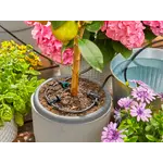 Gardena Vakantiebewatering AquaBloom Set Gardena Gardena Vakantiebewatering AquaBloom Set