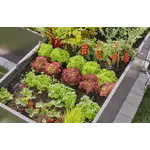 Gardena Startset verhoogde bloembedden en moestuinen Gardena Gardena Startset verhoogde bloembedden en moestuinen