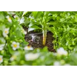 Gardena Startset verhoogde bloembedden en moestuinen Gardena Gardena Startset verhoogde bloembedden en moestuinen