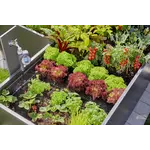Gardena Startset verhoogde bloembedden en moestuinen Gardena Gardena Startset verhoogde bloembedden en moestuinen