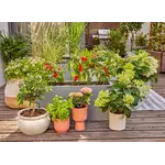 Gardena Micro-Drip-Bewatering Terras Set, 30 planten Gardena Gardena Micro-Drip-Bewatering Terras Set, 30 planten
