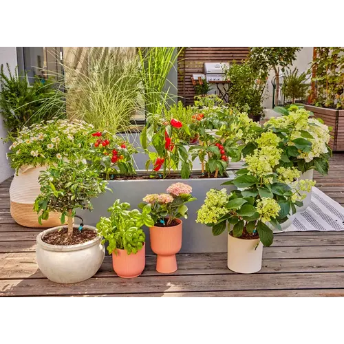 Gardena Micro-Drip-Bewatering Terras Set, 30 planten Gardena Gardena Micro-Drip-Bewatering Terras Set, 30 planten