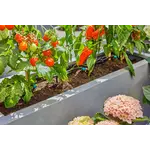 Gardena Micro-Drip-Bewatering Terras Set, 30 planten Gardena Gardena Micro-Drip-Bewatering Terras Set, 30 planten
