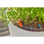 Gardena Micro-Drip-Bewatering Terras Set, 30 planten Gardena Gardena Micro-Drip-Bewatering Terras Set, 30 planten