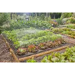 Gardena Micro-Drip-Bewatering moestuin en bloembed Set, 40 planten Gardena Gardena Micro-Drip-Bewatering moestuin en bloembed Set, 40 planten