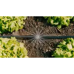 Gardena Micro-Drip-Bewatering moestuin en bloembed Set, 40 planten Gardena Gardena Micro-Drip-Bewatering moestuin en bloembed Set, 40 planten