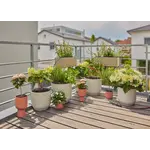 Gardena Micro-Drip-Bewatering Balkon Set, 15 planten Gardena Gardena Micro-Drip-Bewatering Balkon Set, 15 planten