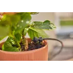 Gardena Micro-Drip-Bewatering Balkon Set, 15 planten Gardena Gardena Micro-Drip-Bewatering Balkon Set, 15 planten