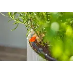Gardena Micro-Drip-Bewatering Balkon Set, 15 planten Gardena Gardena Micro-Drip-Bewatering Balkon Set, 15 planten