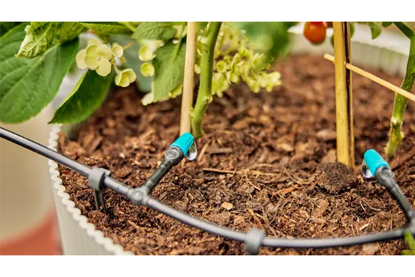 Micro drip systeem