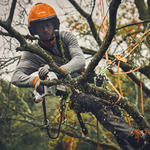 STIHL STIHL GTA 40 accu snoeizaag actieset met 4x AS 2 accu en AL 5-2 lader