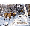 Wildlife Winter assorted Holiday Cards
