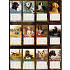 Love Of Dogs 2024 Grote kalender
