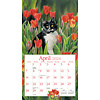 Cats In The Country 2024 Wall calendar