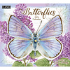 Butterflies 2024 Wall calendar