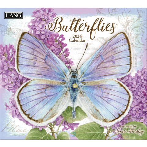 Butterflies 2024