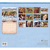Horses Calendar 2024 Große Kalender