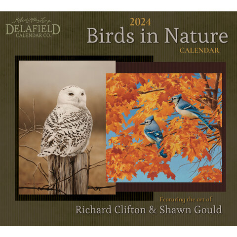 Birds In Nature 2024