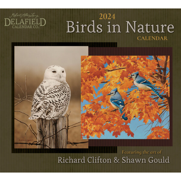 Delafield Birds In Nature 2024 Wall calendar
