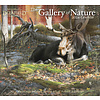 Gallery Of Nature 2024 Grote Kalender