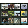 Gallery Of Nature 2024 Große Kalender