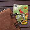 Songbirds 2024 Monthly Pocket Planer