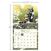 Cats in the Country Kalender 2025