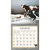 Cows Cows Cows Calendar 2025