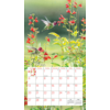 Hummingbirds Kalender 2025